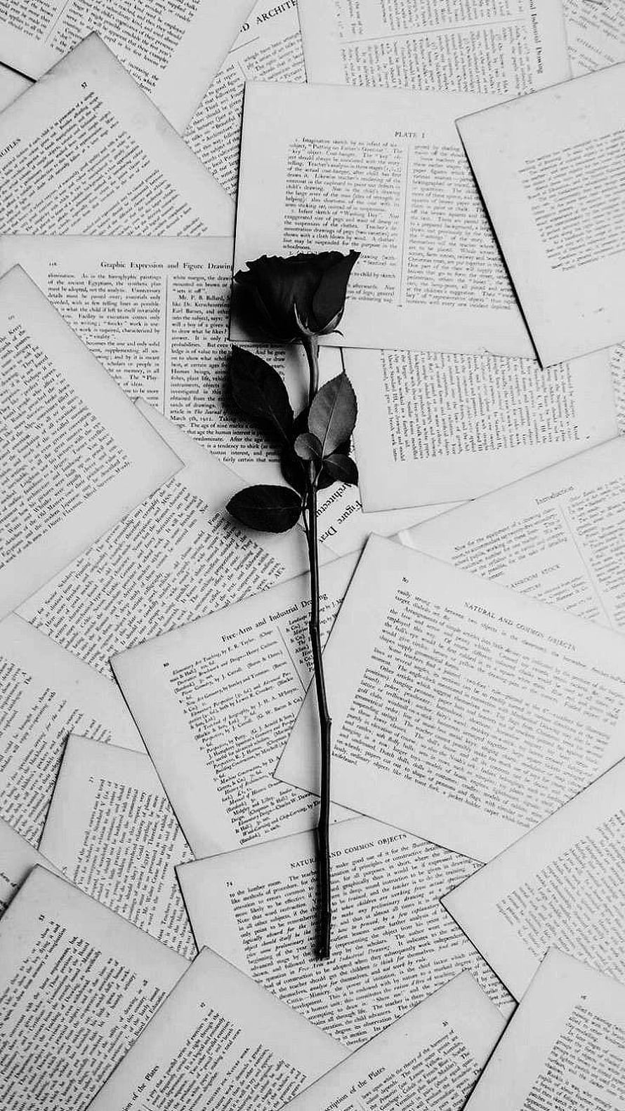 Black Rose on Vintage Book Pages Monochrome Aesthetic Wallpaper HD phone wallpaper