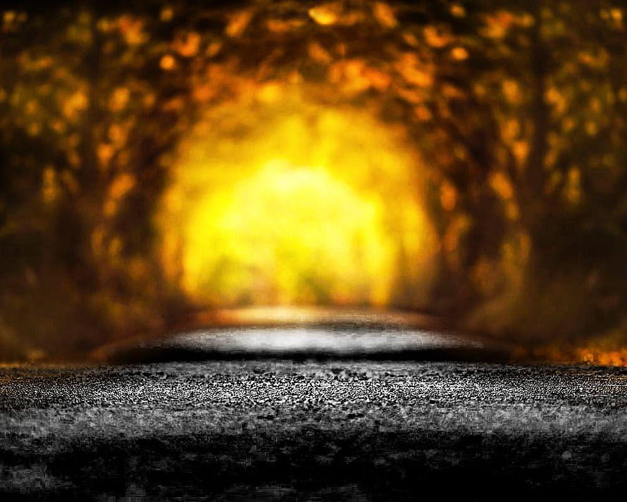 Golden Autumn Forest Path with Soft Bokeh Light and Textured Asphalt Road HD wallpaper