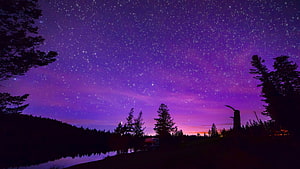 Purple Starry Night Sky Over Silhouetted Forest and Lake HD wallpaper