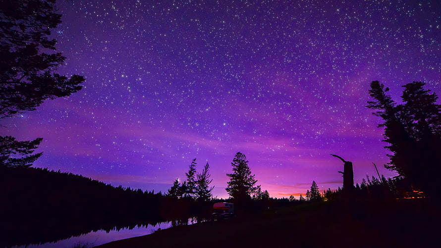 Purple Starry Night Sky Over Silhouetted Forest and Lake HD wallpaper