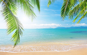 Tropical Beach Landscape With Palm Fronds, Turquoise Ocean, and Distant Mountains Under a Bright Blue Sky HD wallpaper