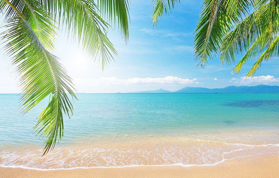 Tropical Beach Landscape With Palm Fronds, Turquoise Ocean, and Distant Mountains Under a Bright Blue Sky HD wallpaper
