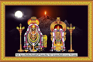 Sri Arunachaleswara Swamy and Apeethakuchambal Devotional Artwork with Temple Lamps HD wallpaper