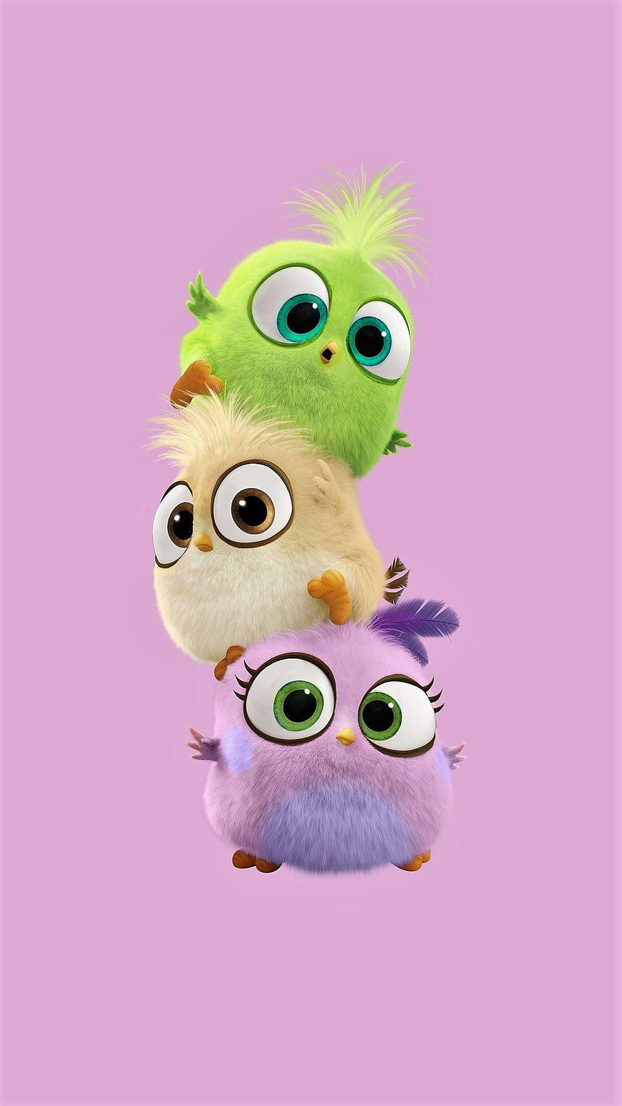 Three Cute 3D Animated Baby Birds Stacked Vertically on Pink Background HD phone wallpaper