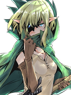 Ryu Lion Anime Character in Green Hooded Cloak with Elven Ears and Glowing Eye HD phone wallpaper