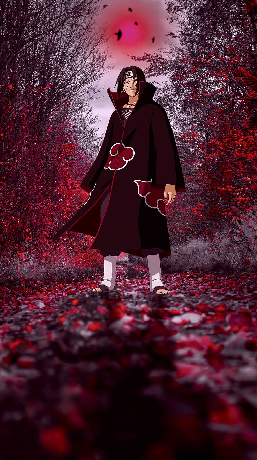 Itachi Uchiha in Akatsuki Cloak Standing on a Path of Red Fallen Leaves HD phone wallpaper