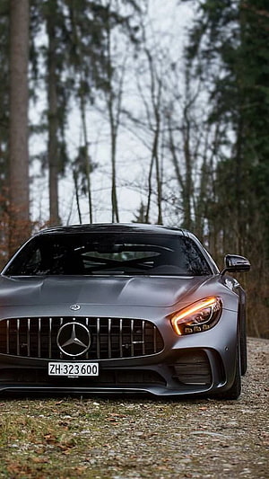 Mercedes-AMG GT Front View in Matte Grey on a Forest Gravel Road HD phone wallpaper