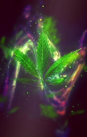 Neon Glowing Cannabis Leaf with Digital Light Trails and Particle Effects on Dark Background HD phone wallpaper