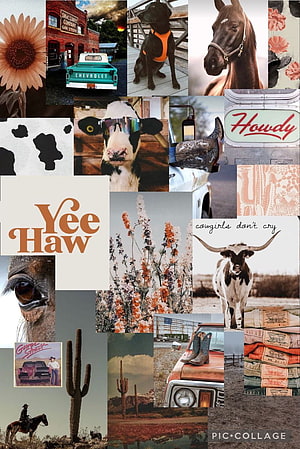 Rustic Country Aesthetic Mood Board with Cowboy Boots, Horses, and Vintage Trucks HD phone wallpaper