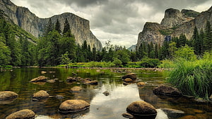 Majestic Yosemite Valley River Landscape With Granite Cliffs And Lush Forest HD wallpaper