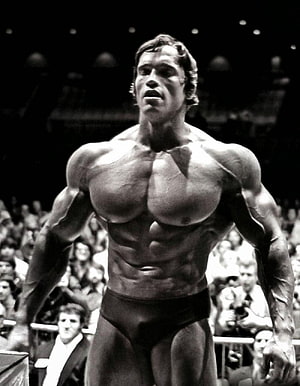 Arnold Schwarzenegger Classic Bodybuilding Pose in Black and White HD phone wallpaper