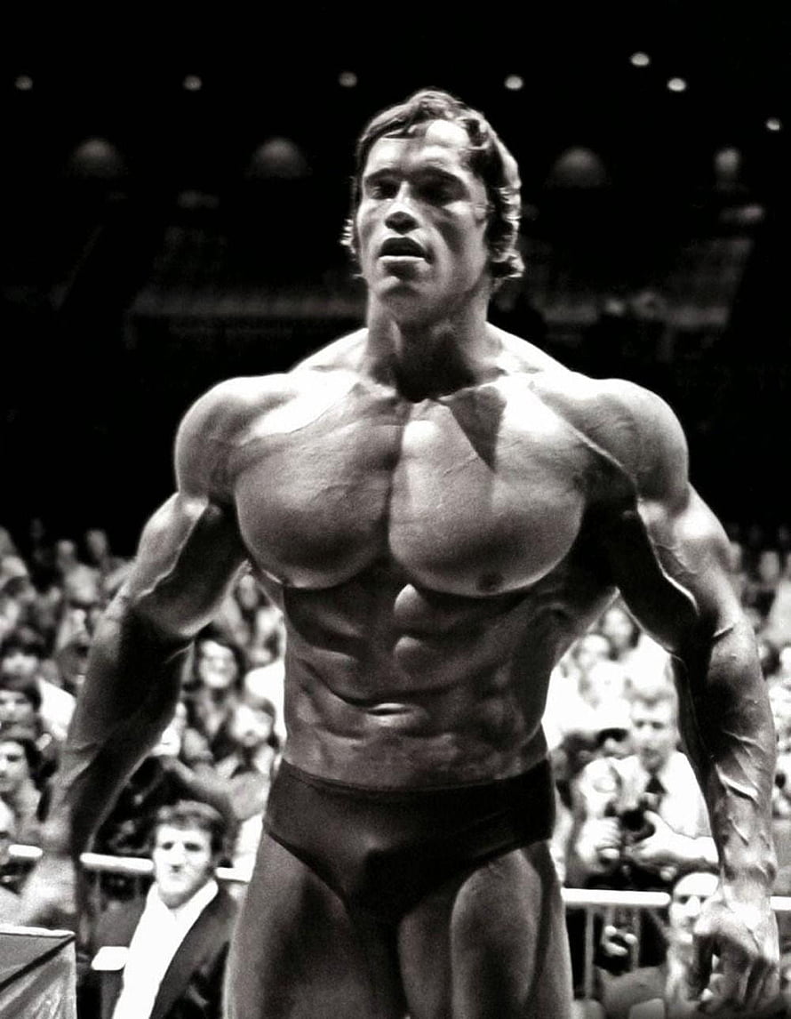 Arnold Schwarzenegger Classic Bodybuilding Pose in Black and White HD phone wallpaper