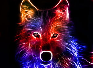 Neon Wolf Portrait with Electric Red Blue and Purple Fiber Art on Black Background HD wallpaper