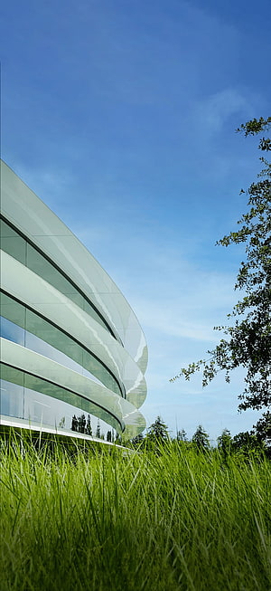 Modern Curved Glass Architecture Rising Above Lush Green Grass Under a Clear Blue Sky HD phone wallpaper