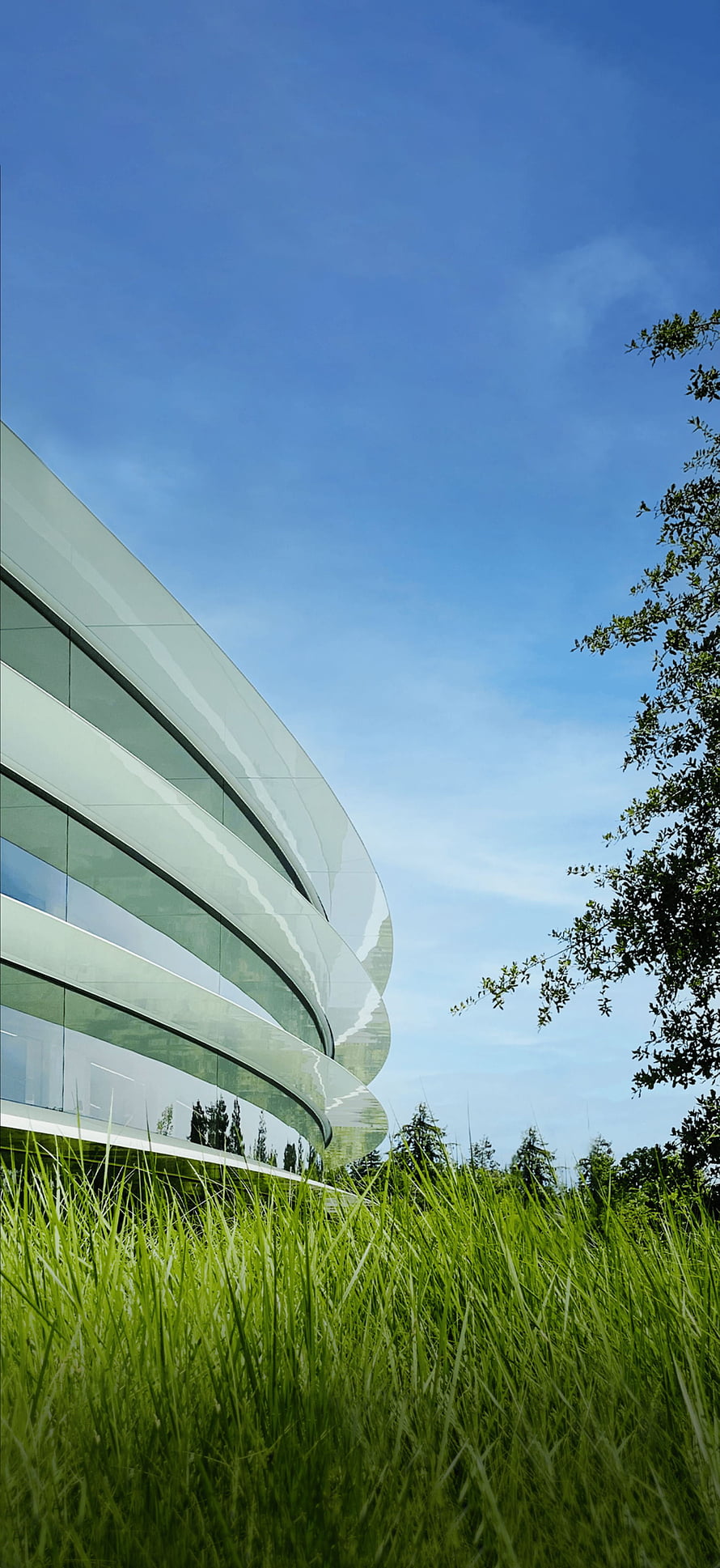 Modern Curved Glass Architecture Rising Above Lush Green Grass Under a Clear Blue Sky HD phone wallpaper