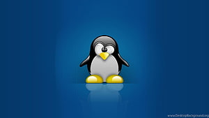 Tux the Linux Penguin Mascot on a Deep Blue Gradient Background HD wallpaper