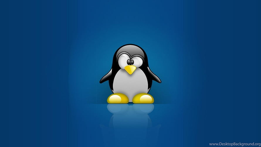 Tux the Linux Penguin Mascot on a Deep Blue Gradient Background HD wallpaper