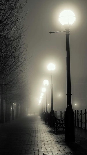 Atmospheric Foggy Promenade With Vintage Street Lamps And Bare Trees HD phone wallpaper