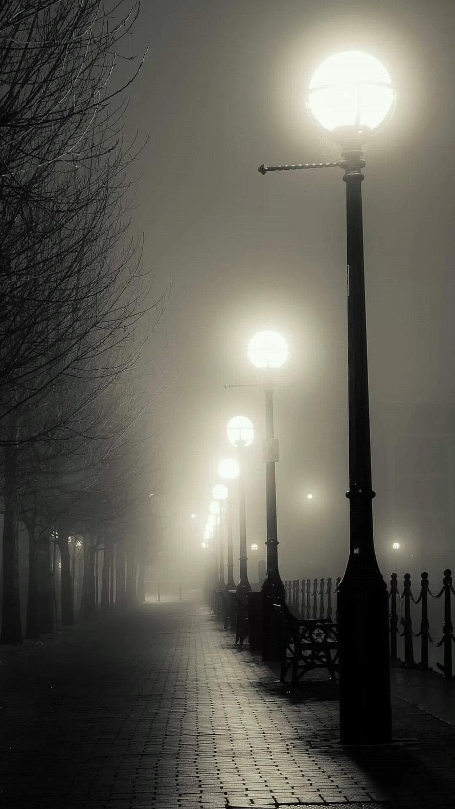 Atmospheric Foggy Promenade With Vintage Street Lamps And Bare Trees HD phone wallpaper