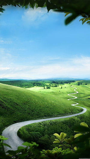 Winding Country Road Through Lush Green Rolling Hills and Forests HD phone wallpaper