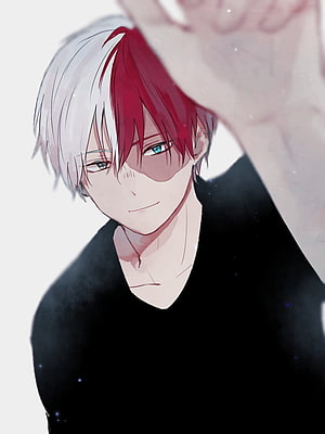 Todoroki Shouto Anime Character Portrait with Split Red and White Hair HD phone wallpaper