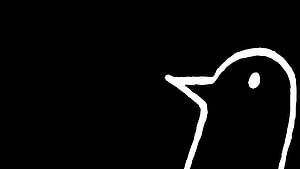Minimalist White Line Drawing of a Bird Head on Black Background HD wallpaper