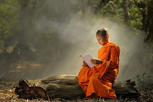 Young Buddhist Monk in Orange Robes Reading a Book on a Log in Misty Forest HD wallpaper