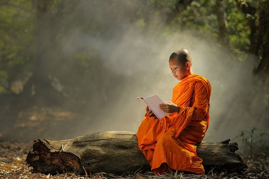 Young Buddhist Monk in Orange Robes Reading a Book on a Log in Misty Forest HD wallpaper