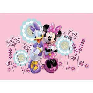 Minnie Mouse and Daisy Duck in Spring Floral Outfits on Pink Background HD phone wallpaper