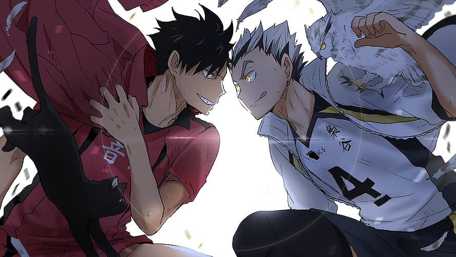 Haikyuu Kuroo and Bokuto Face Off in Intense Volleyball Rivalry HD wallpaper