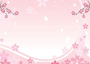 Soft Pink Sakura Blossom Floral Frame with Falling Petals and Curved Border Design HD wallpaper