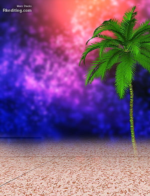 Vibrant Tropical Palm Tree Against a Neon Purple and Pink Gradient Sky HD phone wallpaper