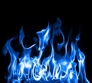 Vibrant Blue Flames Rising Against a Deep Black Background HD wallpaper