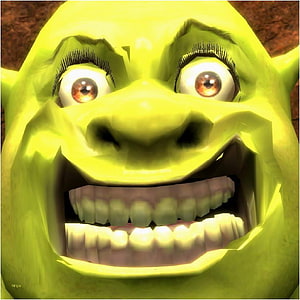 Shrek Extreme Close-Up Face With Wide Open Mouth And Big Grin HD phone wallpaper
