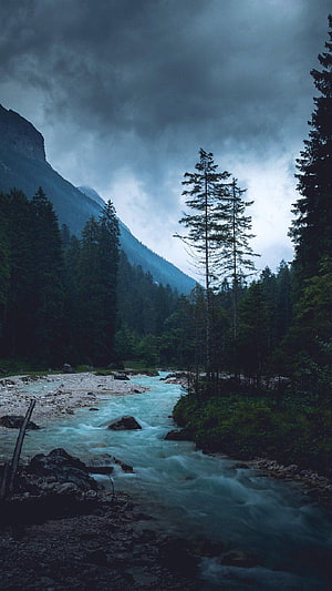 Moody Mountain River Scene with Turbulent Water and Dense Evergreen Forest Under Stormy Skies HD phone wallpaper
