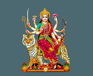 Maa Durga Riding Tiger Traditional Indian Goddess Illustration with Weapons and Offerings HD wallpaper