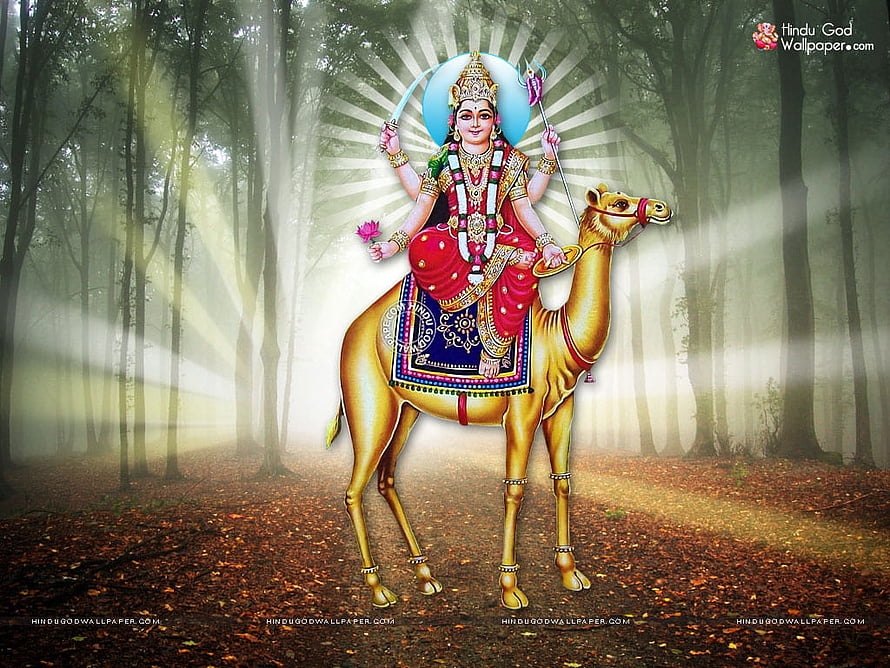 Momai Maa Riding a Golden Camel in a Misty Forest with Divine Light Rays HD wallpaper