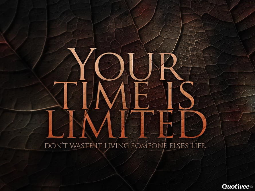Dark Leaf Vein Background with Motivational Quote About Living Life Fully HD wallpaper