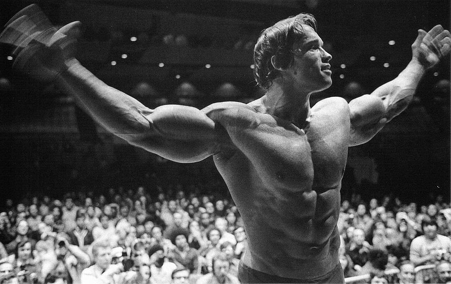 Arnold Schwarzenegger Triumphant Bodybuilding Pose in Black and White HD wallpaper