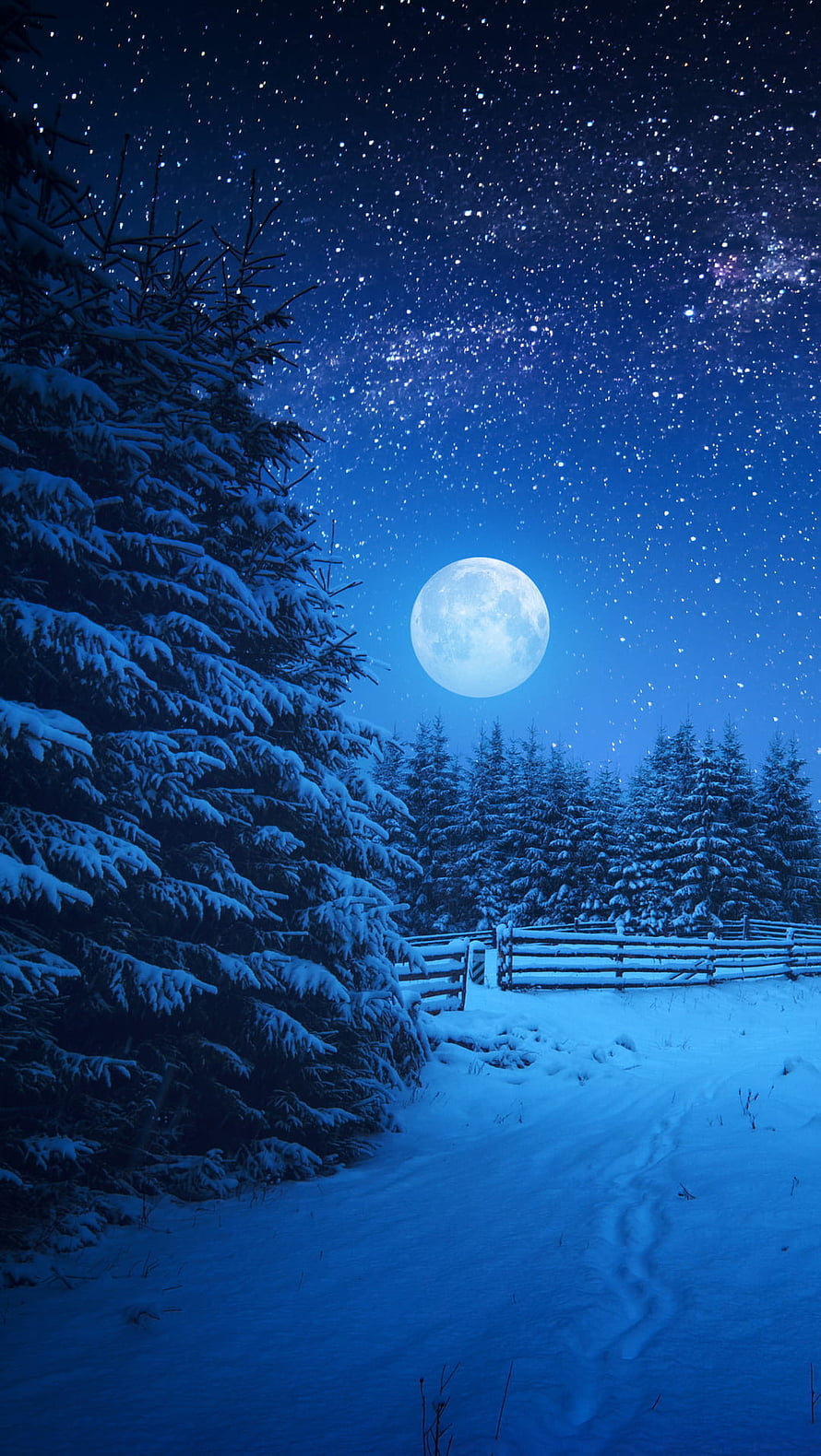 Full Moon Over Snowy Pine Forest at Night with Starry Sky and Wooden Fence HD phone wallpaper