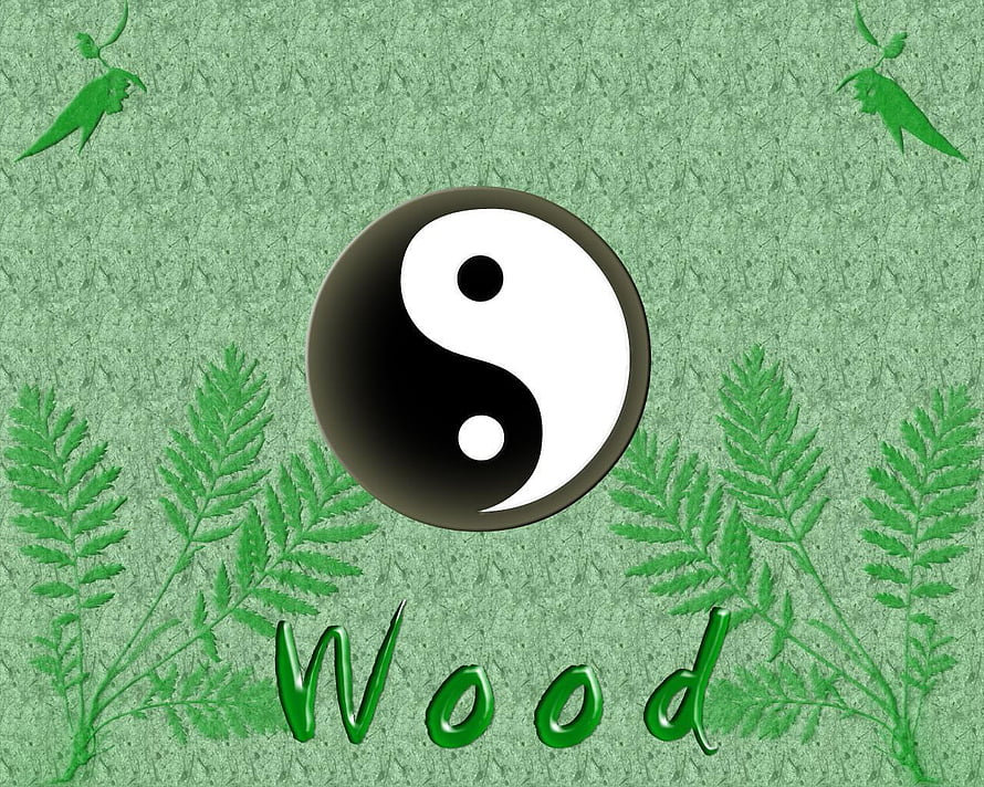 Wood Element Yin Yang Symbol with Fern Leaves and Green Textured Background HD wallpaper
