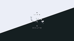 Minimalist Life and Death Concept with Delicate Floral Branch on Diagonal Black and White Background HD wallpaper