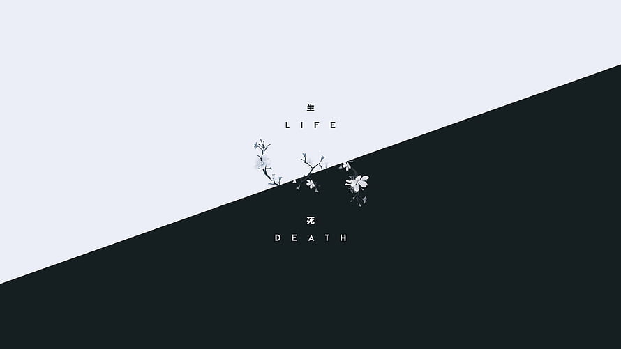 Minimalist Life and Death Concept with Delicate Floral Branch on Diagonal Black and White Background HD wallpaper