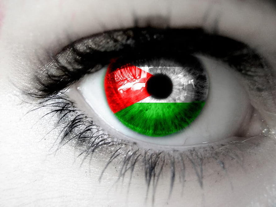 Close-up of a human eye with the Palestinian flag reflected in the iris HD wallpaper
