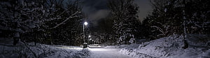 Snow-covered park pathway at night illuminated by street lamps HD wallpaper
