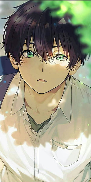 Aesthetic Anime Boy Portrait with Green Eyes and Dark Hair in Soft Sunlight HD phone wallpaper