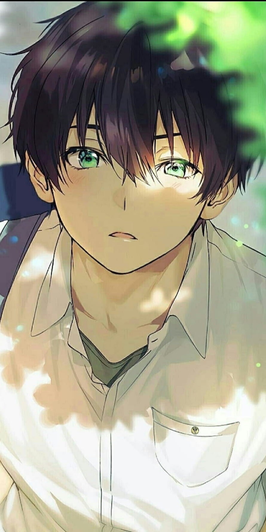 Aesthetic Anime Boy Portrait with Green Eyes and Dark Hair in Soft Sunlight HD phone wallpaper