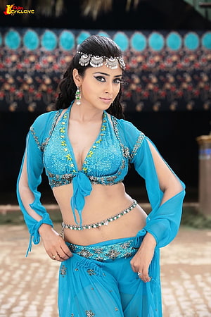 Shreya Saran in Traditional Blue Ethnic Dance Costume with Silver Jewelry HD phone wallpaper