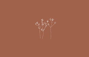 Minimalist White Wildflower Line Art on Warm Brown Background HD wallpaper