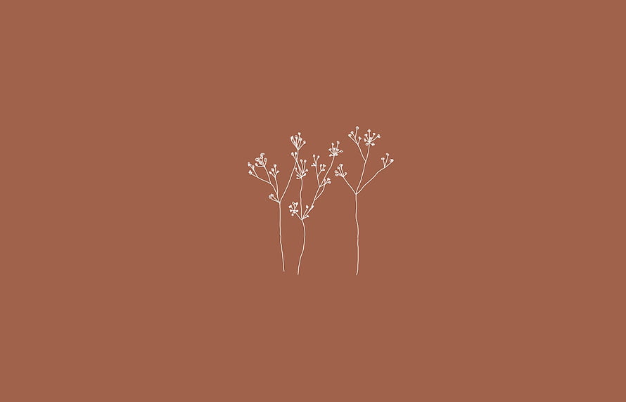 Minimalist White Wildflower Line Art on Warm Brown Background HD wallpaper